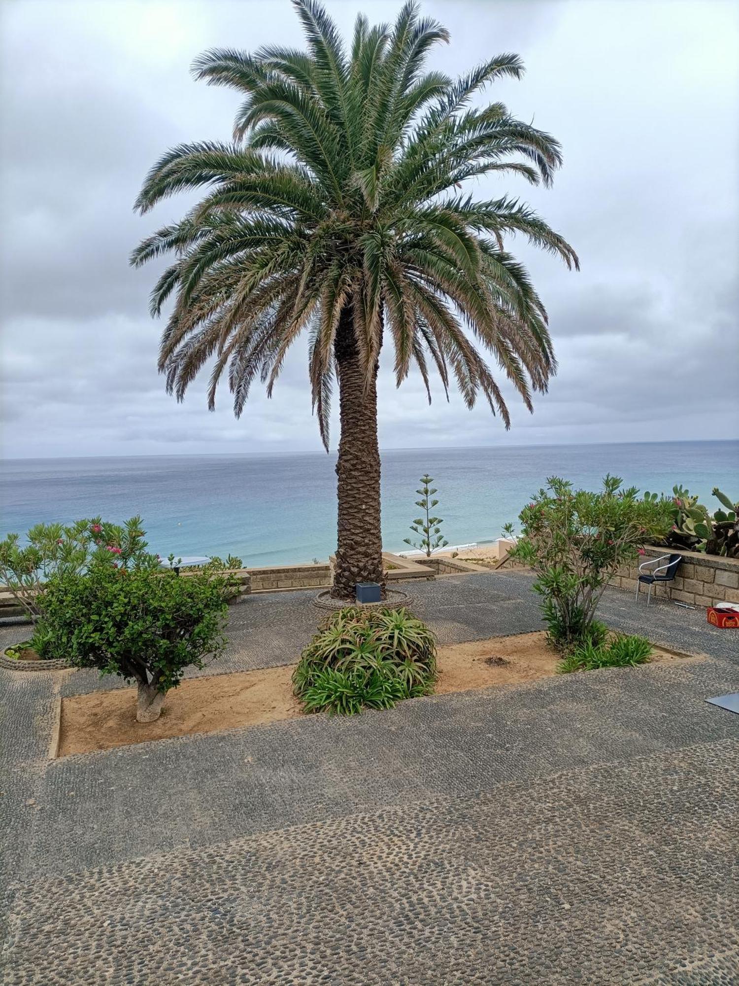 Golden Beach House ポルト・サント エクステリア 写真